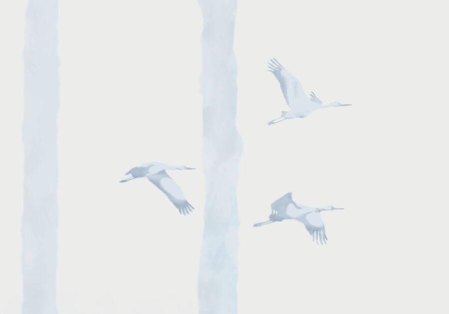 bukowisko - detal 1
