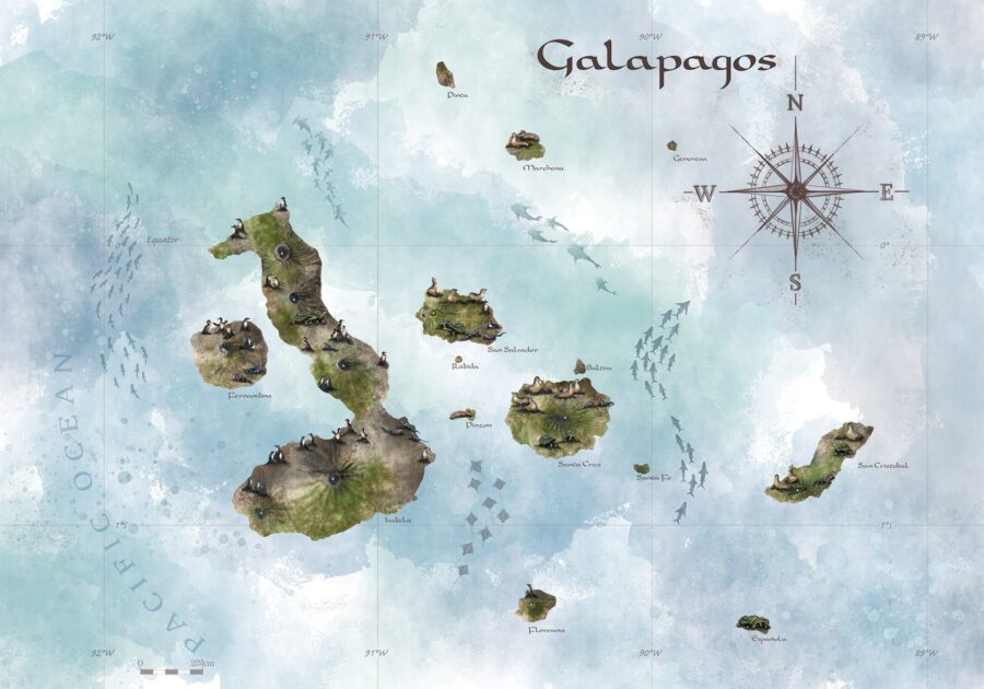 tapeta mapa