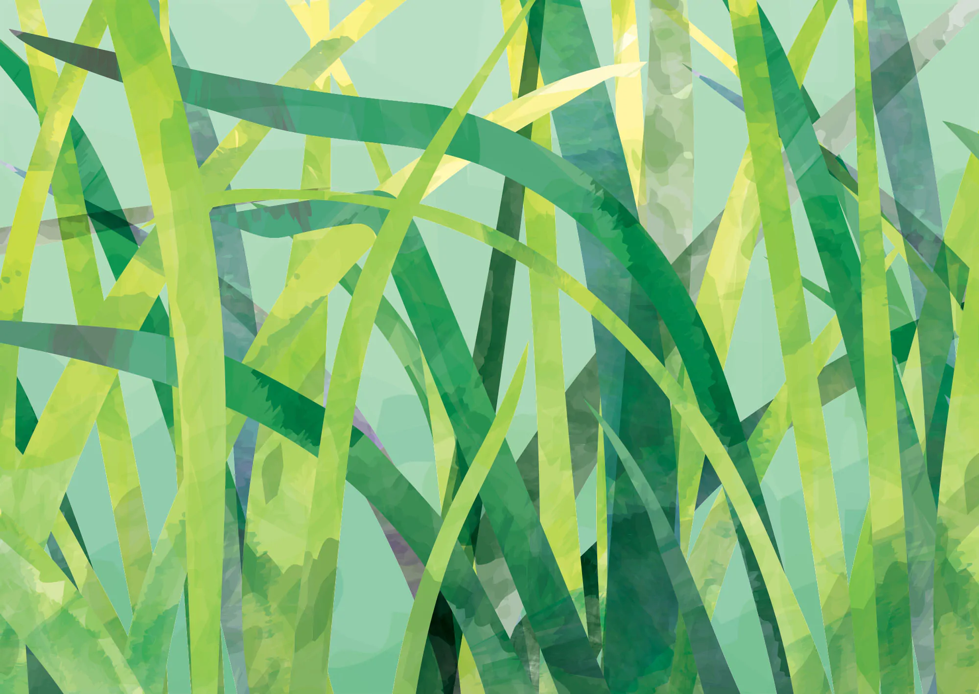 na skraju dżungli - detal 5