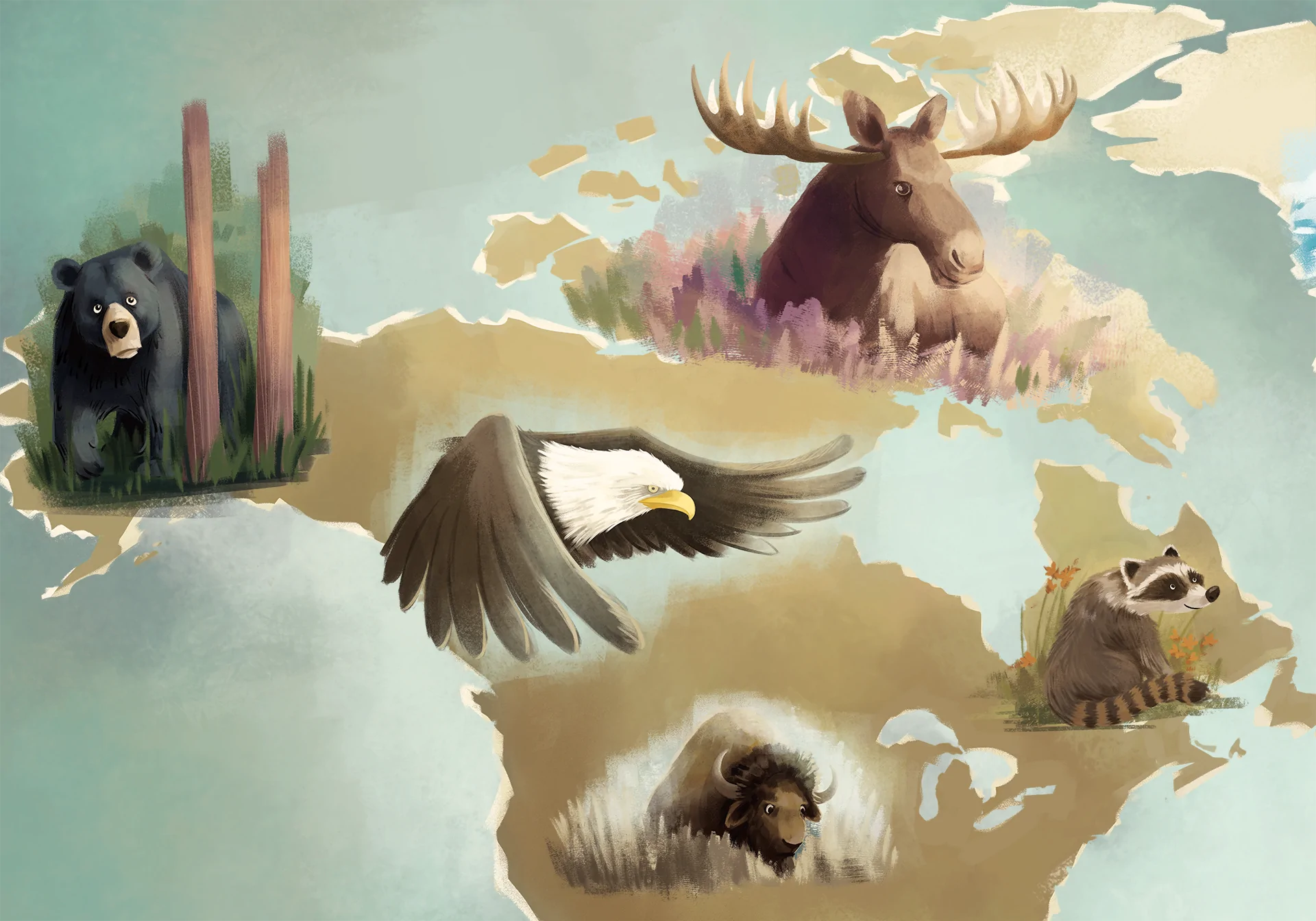 mapa świata - fragment