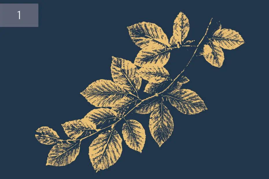 plakat buk granatowo zloty