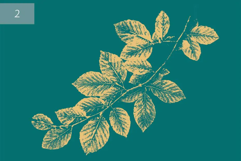 plakat buk turkusowo złoty