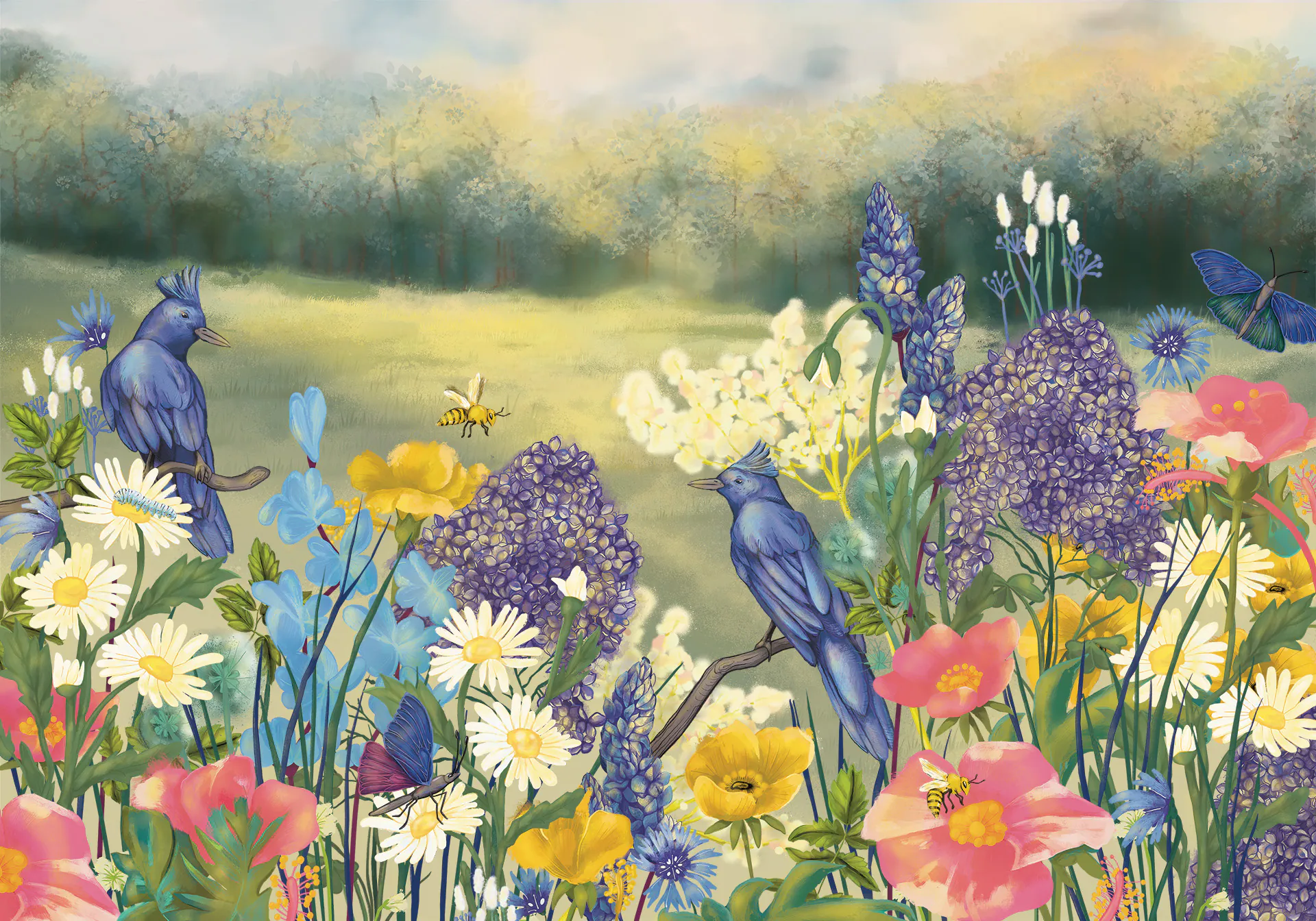 fototapeta w kwiaty - Buszowanie w kwiatostanie